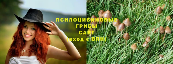 метадон Богородицк