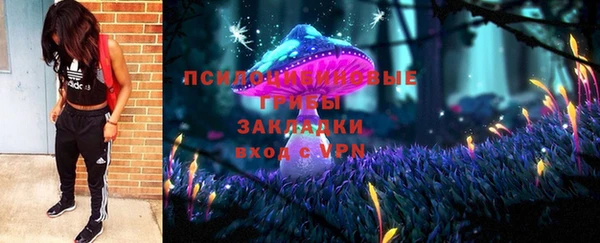 винт Белокуриха