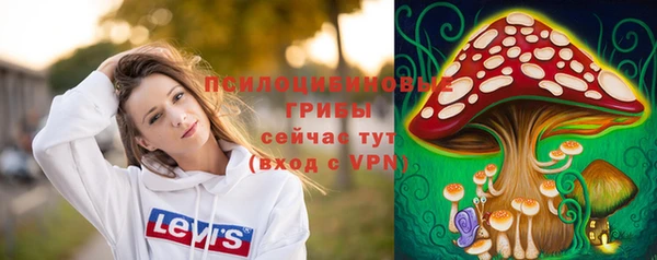 прущий лед Белоозёрский