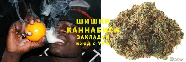 твердый Пересвет