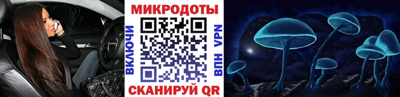 Галлюциногенные грибы Psilocybe  где можно купить   Новая Усмань 